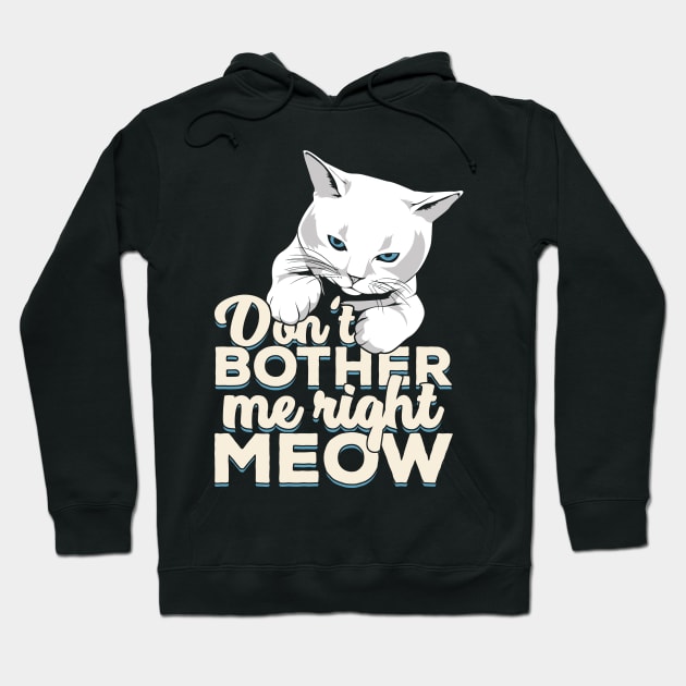 Don't Bother Me Right Meow Cat Owner Gift Hoodie by Dolde08